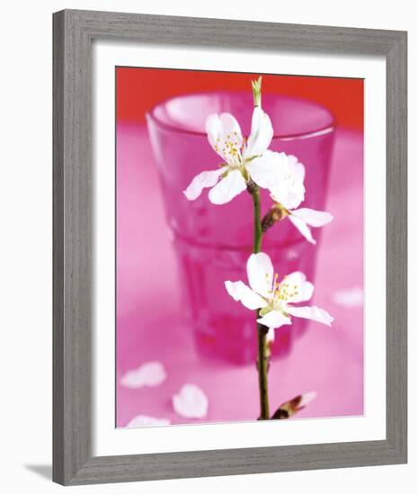 Almond Tree Flower-Amelie Vuillon-Framed Art Print
