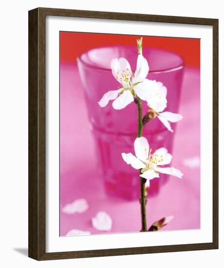 Almond Tree Flower-Amelie Vuillon-Framed Art Print