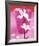 Almond Tree Flower-Amelie Vuillon-Framed Art Print