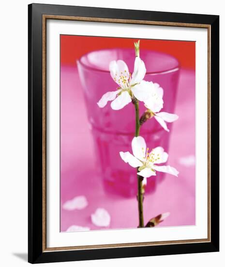 Almond Tree Flower-Amelie Vuillon-Framed Art Print