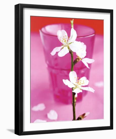 Almond Tree Flower-Amelie Vuillon-Framed Art Print