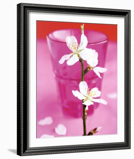 Almond Tree Flower-Amelie Vuillon-Framed Art Print