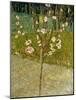 Almond Tree in Blossom, 1888-Vincent van Gogh-Mounted Giclee Print