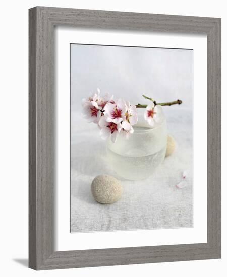 Almond Tree-Amelie Vuillon-Framed Art Print