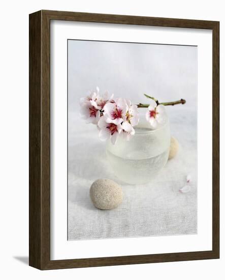 Almond Tree-Amelie Vuillon-Framed Art Print