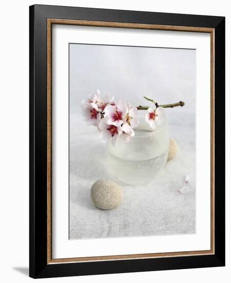 Almond Tree-Amelie Vuillon-Framed Art Print