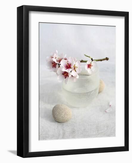 Almond Tree-Amelie Vuillon-Framed Art Print