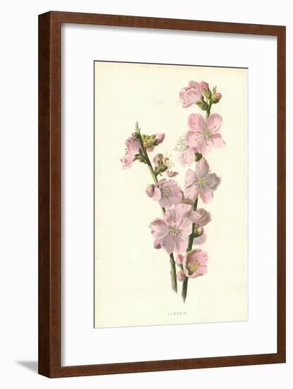 Almond-Frederick Edward Hulme-Framed Premium Giclee Print