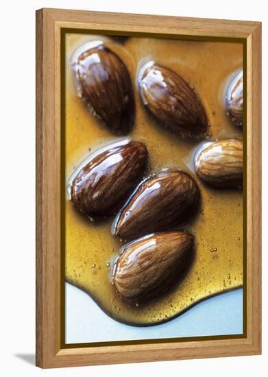 Almonds in Caramel-Marc O^ Finley-Framed Premier Image Canvas