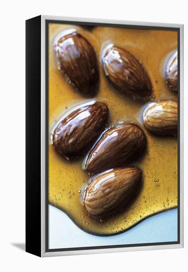 Almonds in Caramel-Marc O^ Finley-Framed Premier Image Canvas