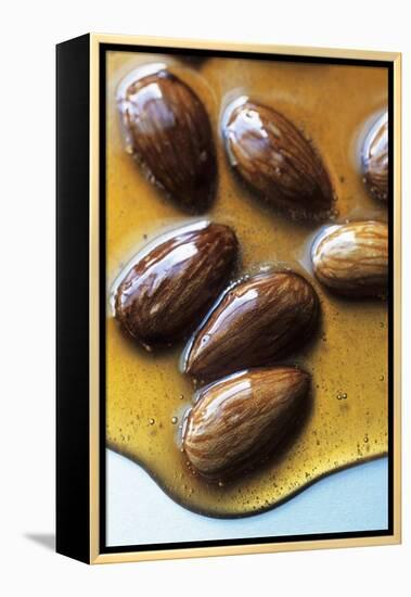 Almonds in Caramel-Marc O^ Finley-Framed Premier Image Canvas