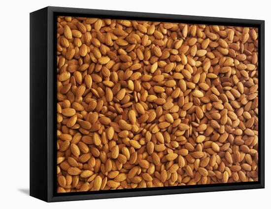 Almonds-Janez Puksic-Framed Premier Image Canvas