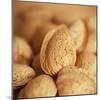 Almonds-Cristina-Mounted Premium Photographic Print