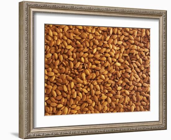 Almonds-Janez Puksic-Framed Photographic Print