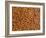 Almonds-Janez Puksic-Framed Photographic Print