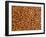 Almonds-Janez Puksic-Framed Photographic Print