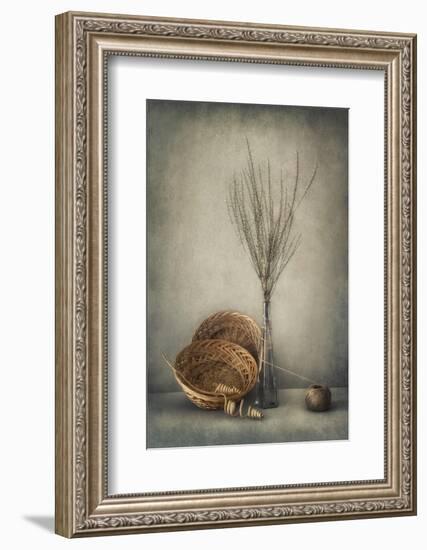 Almost Autumn...-Dimitar Lazarov --Framed Photographic Print