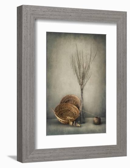 Almost Autumn...-Dimitar Lazarov --Framed Photographic Print