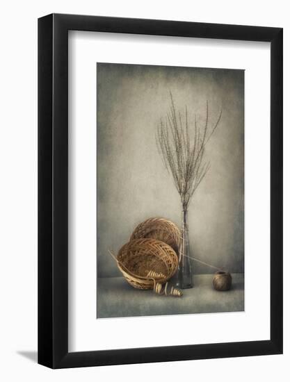 Almost Autumn...-Dimitar Lazarov --Framed Photographic Print