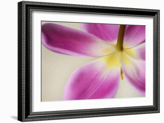 Almost Hidden-Heidi Westum-Framed Photographic Print