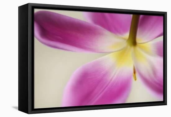 Almost Hidden-Heidi Westum-Framed Premier Image Canvas