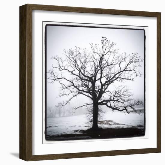 Almost Spring-Erin Clark-Framed Giclee Print