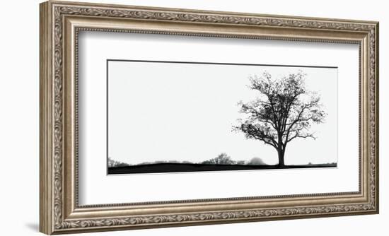 Almost Winter-Erin Clark-Framed Art Print