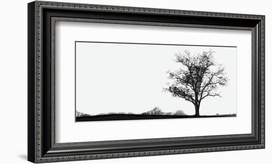 Almost Winter-Erin Clark-Framed Art Print