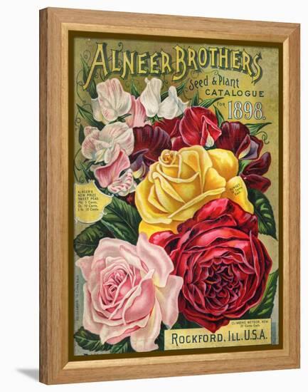 Alneer Brothers Seed and Plant Catalogue, 1898-null-Framed Stretched Canvas