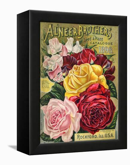 Alneer Brothers Seed and Plant Catalogue, 1898-null-Framed Stretched Canvas