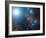 Alnilam Star (Epsilon Orionis)-Davide De Martin-Framed Photographic Print