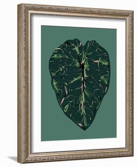 Alocasia Melo Dark-Francesco Gulina-Framed Photographic Print