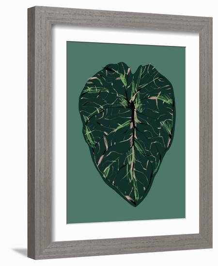 Alocasia Melo Dark-Francesco Gulina-Framed Photographic Print