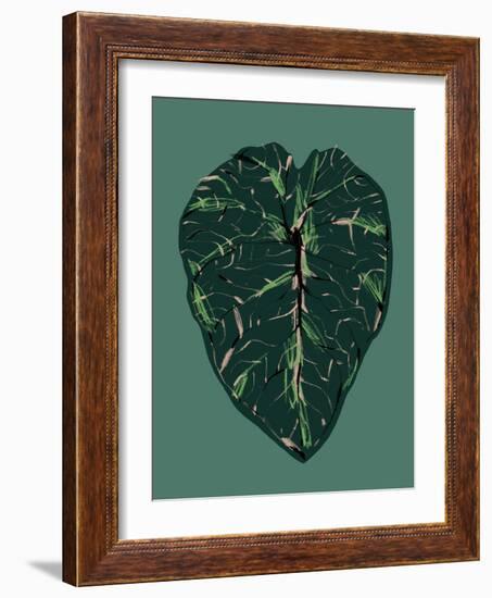 Alocasia Melo Dark-Francesco Gulina-Framed Photographic Print