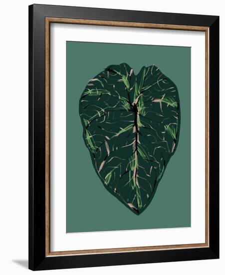 Alocasia Melo Dark-Francesco Gulina-Framed Photographic Print