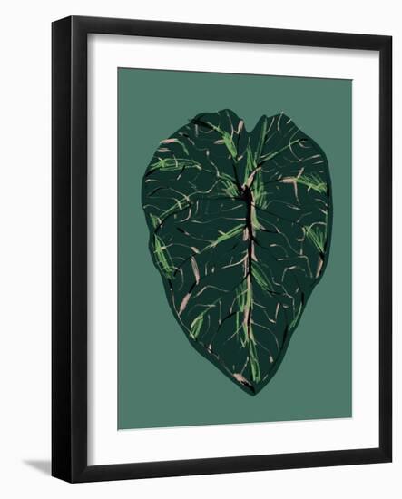 Alocasia Melo Dark-Francesco Gulina-Framed Photographic Print