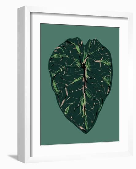 Alocasia Melo Dark-Francesco Gulina-Framed Photographic Print