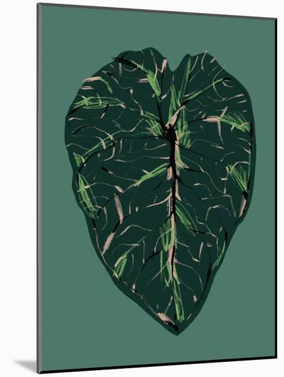 Alocasia Melo Dark-Francesco Gulina-Mounted Photographic Print