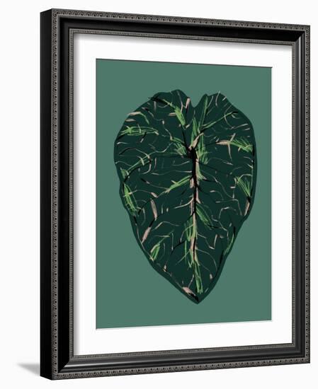 Alocasia Melo Dark-Francesco Gulina-Framed Photographic Print