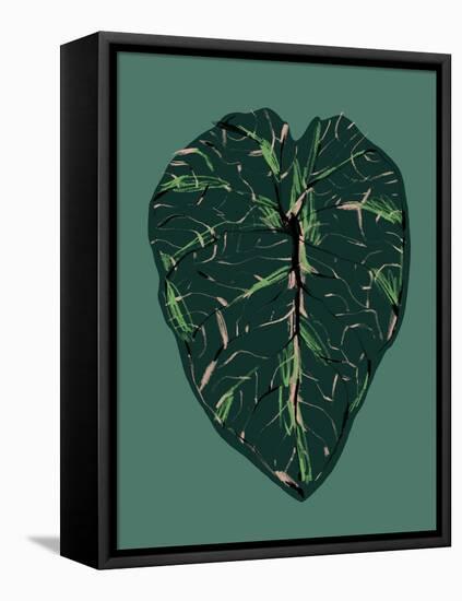 Alocasia Melo Dark-Francesco Gulina-Framed Premier Image Canvas