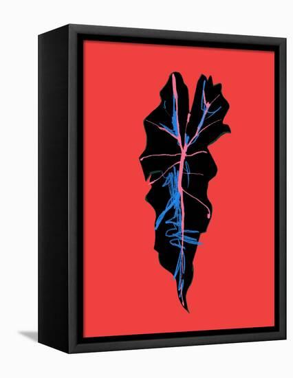 Alocasia Polly Red-Francesco Gulina-Framed Premier Image Canvas