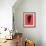 Alocasia Polly Red-Francesco Gulina-Framed Photographic Print displayed on a wall