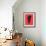 Alocasia Polly Red-Francesco Gulina-Framed Photographic Print displayed on a wall