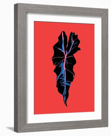 Alocasia Polly Red-Francesco Gulina-Framed Photographic Print