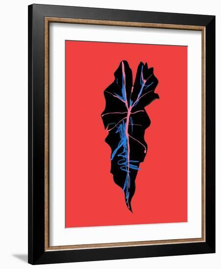 Alocasia Polly Red-Francesco Gulina-Framed Photographic Print