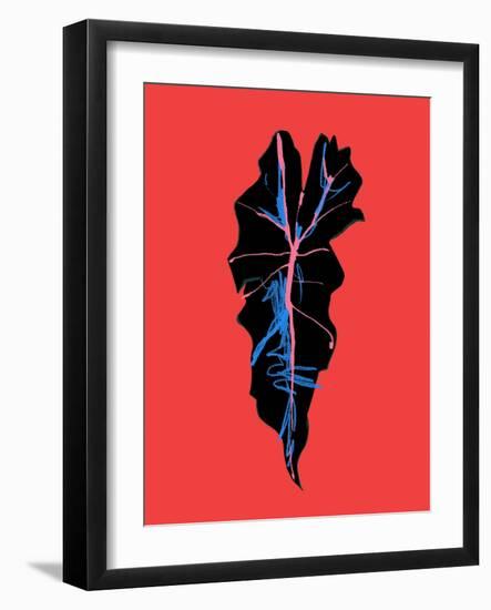 Alocasia Polly Red-Francesco Gulina-Framed Photographic Print