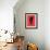 Alocasia Polly Red-Francesco Gulina-Framed Photographic Print displayed on a wall