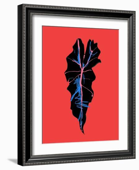 Alocasia Polly Red-Francesco Gulina-Framed Photographic Print