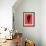 Alocasia Polly Red-Francesco Gulina-Framed Photographic Print displayed on a wall