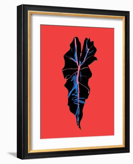 Alocasia Polly Red-Francesco Gulina-Framed Photographic Print